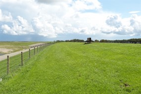 蓝天白云绿草坪图片